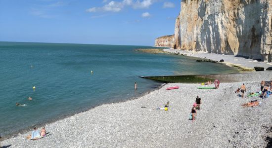 Plage des Grandes Dalles