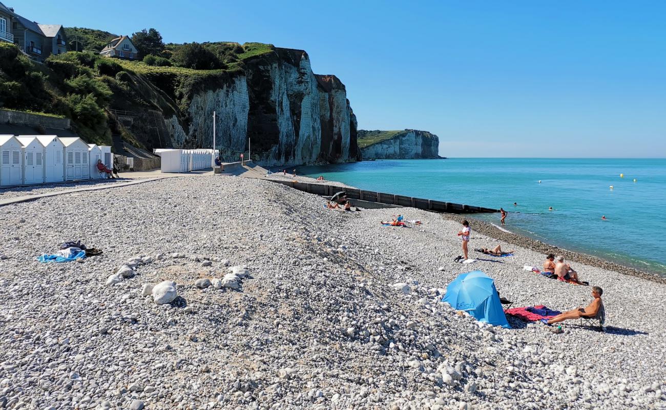 Фото Plage des Petites Dalles с светлая галька поверхностью