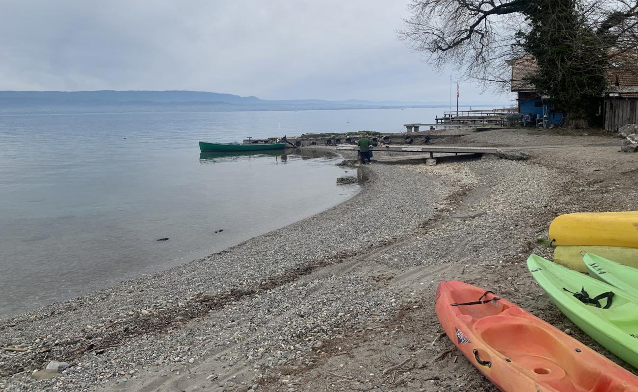 Фото Plage de Sciez с серая чистая галька поверхностью