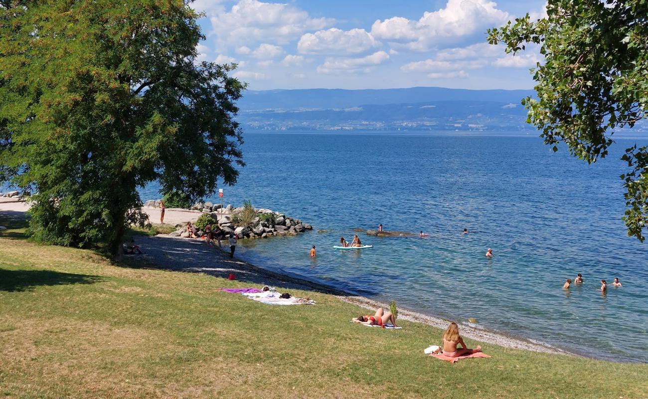 Фото Plage des Recorts с трава поверхностью