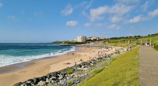 Plage de Milady