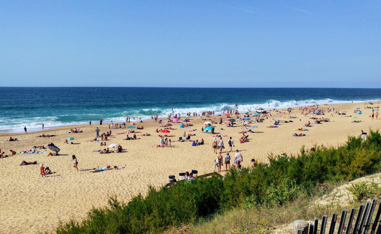 Фото Plage d'Ondres с светлый песок поверхностью