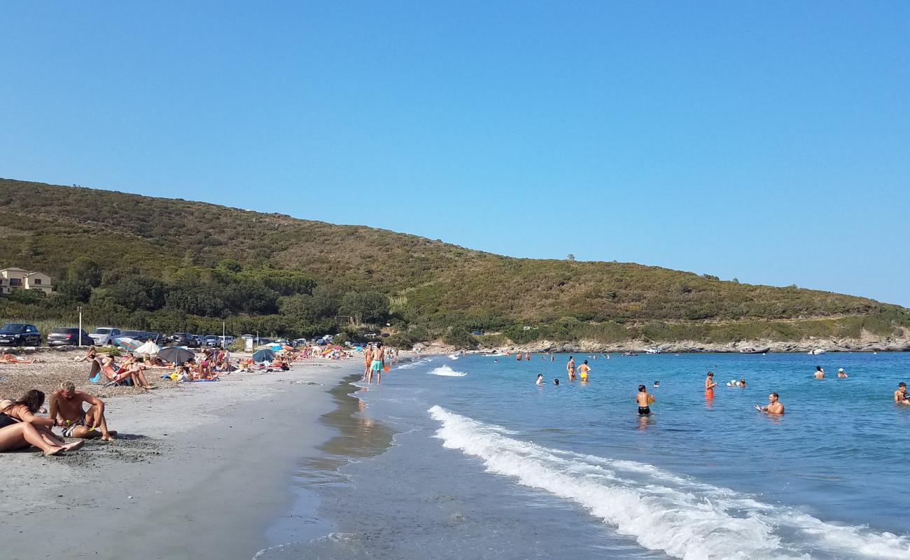 Фото Plage de Misincu с серая чистая галька поверхностью