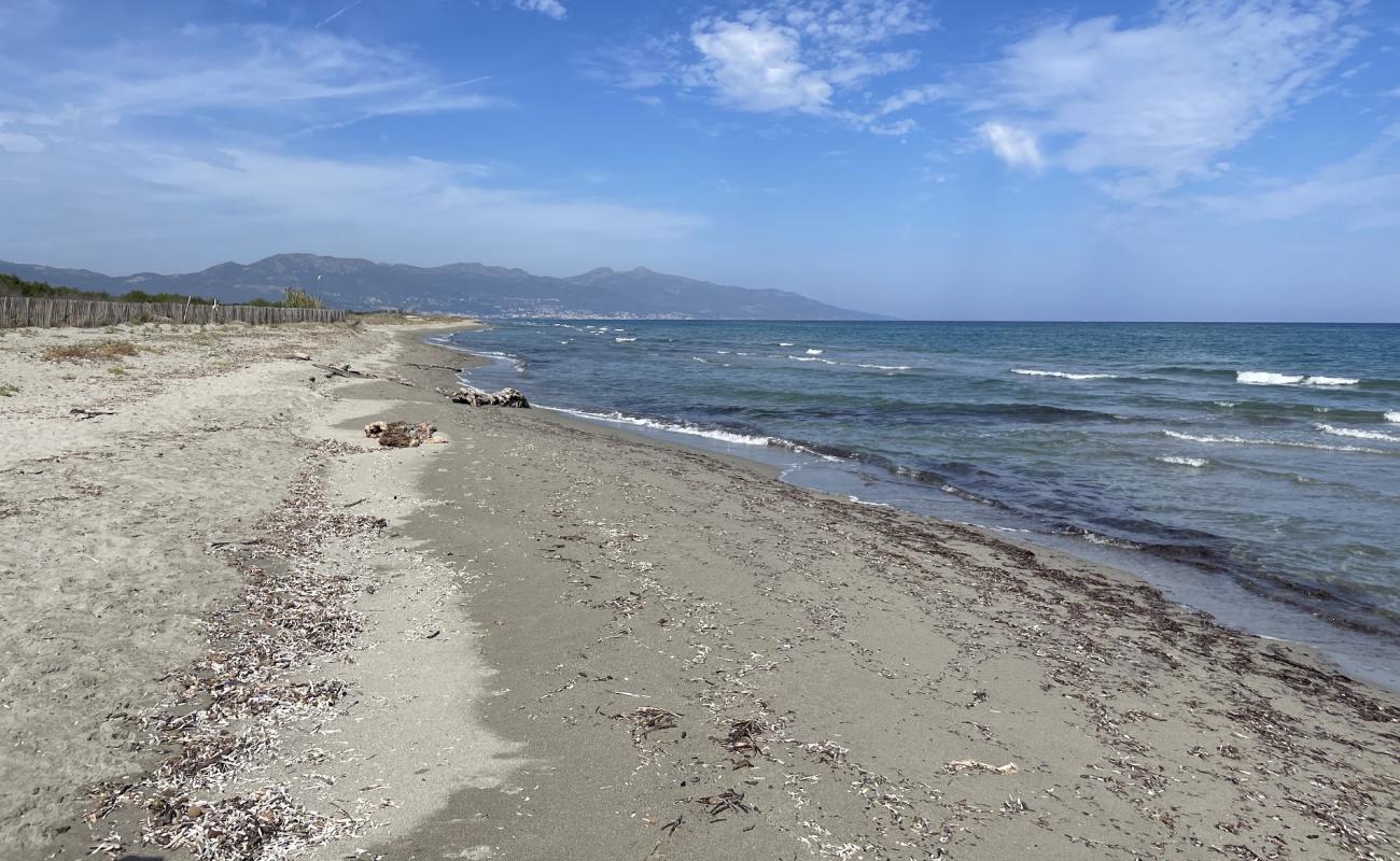 Фото Plage de Pineto с светлый песок поверхностью