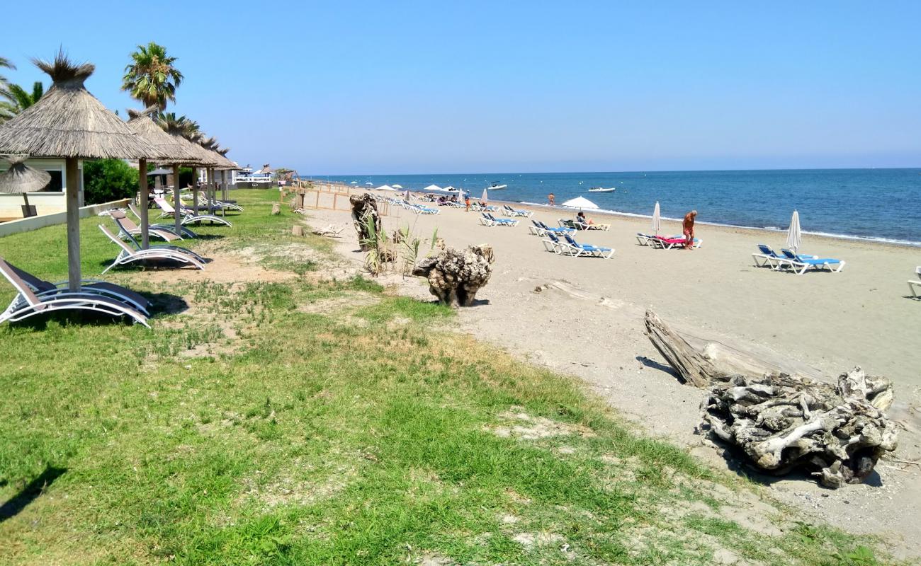 Фото Plage de San Pellegrino с светлый песок поверхностью