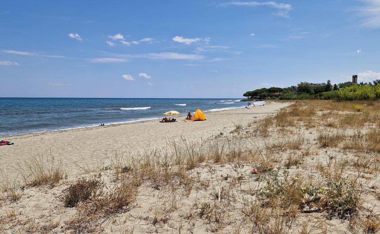 Фото Plage de Tagliu Isolacciu с светлый песок поверхностью