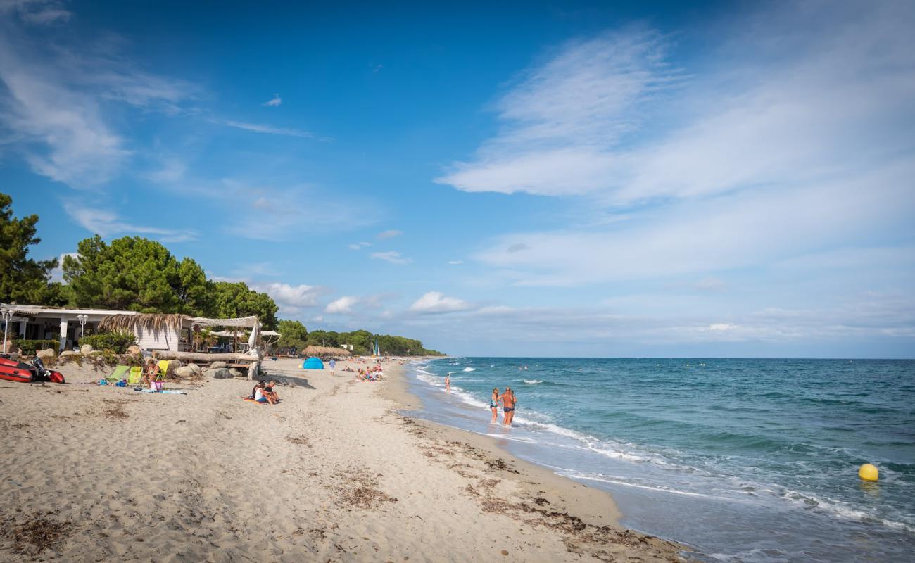 Фото Plage de Calzarellu с светлый песок поверхностью