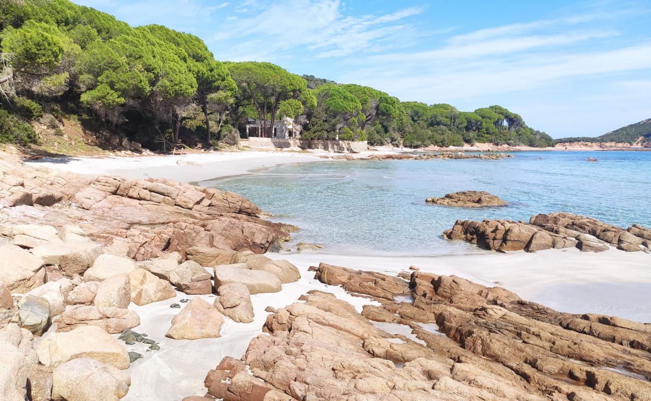 Фото Plage de Capu Di Fora с светлый песок поверхностью