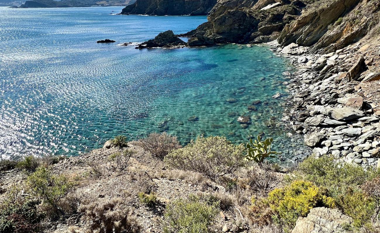 Фото Plage Anse Sainte-Catherine с камни поверхностью