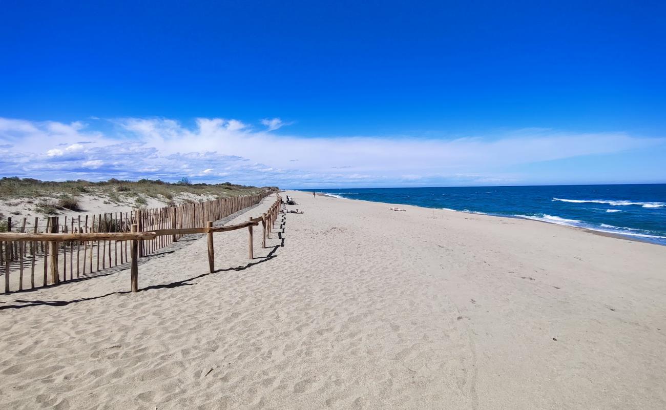 Фото Plage du Sardinal с светлый песок поверхностью