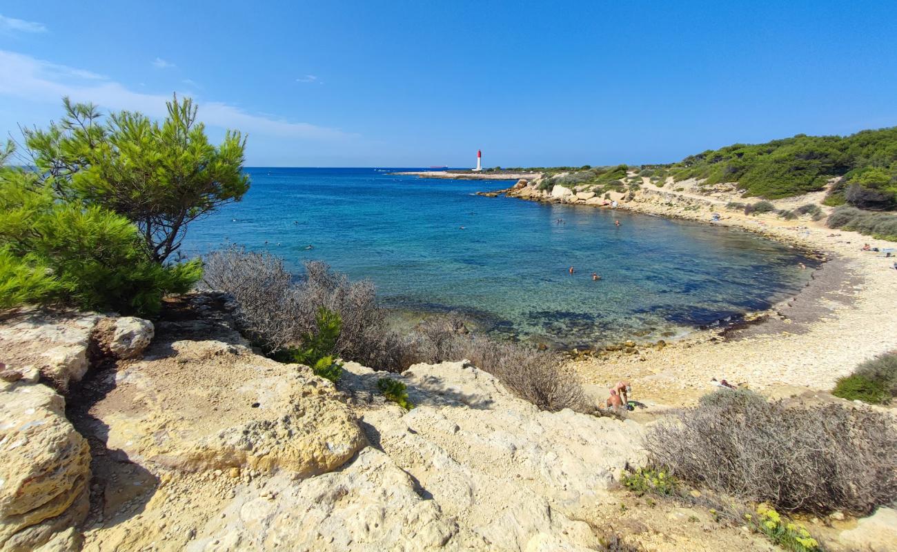 Фото Plage des Agoutaous с камни поверхностью