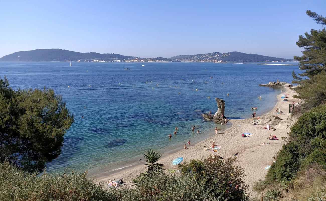 Фото Plage de la Mitre с серая чистая галька поверхностью