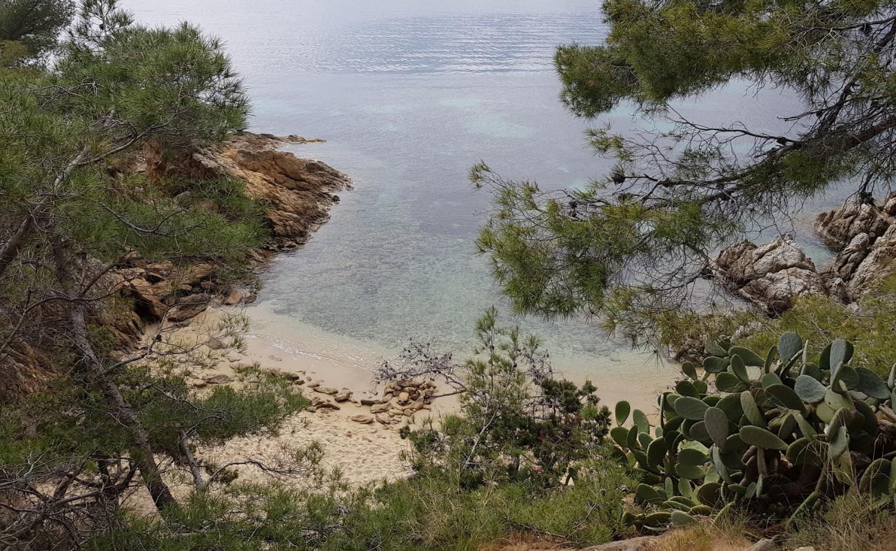 Фото Plage naturiste du Rossignol с серый песок поверхностью