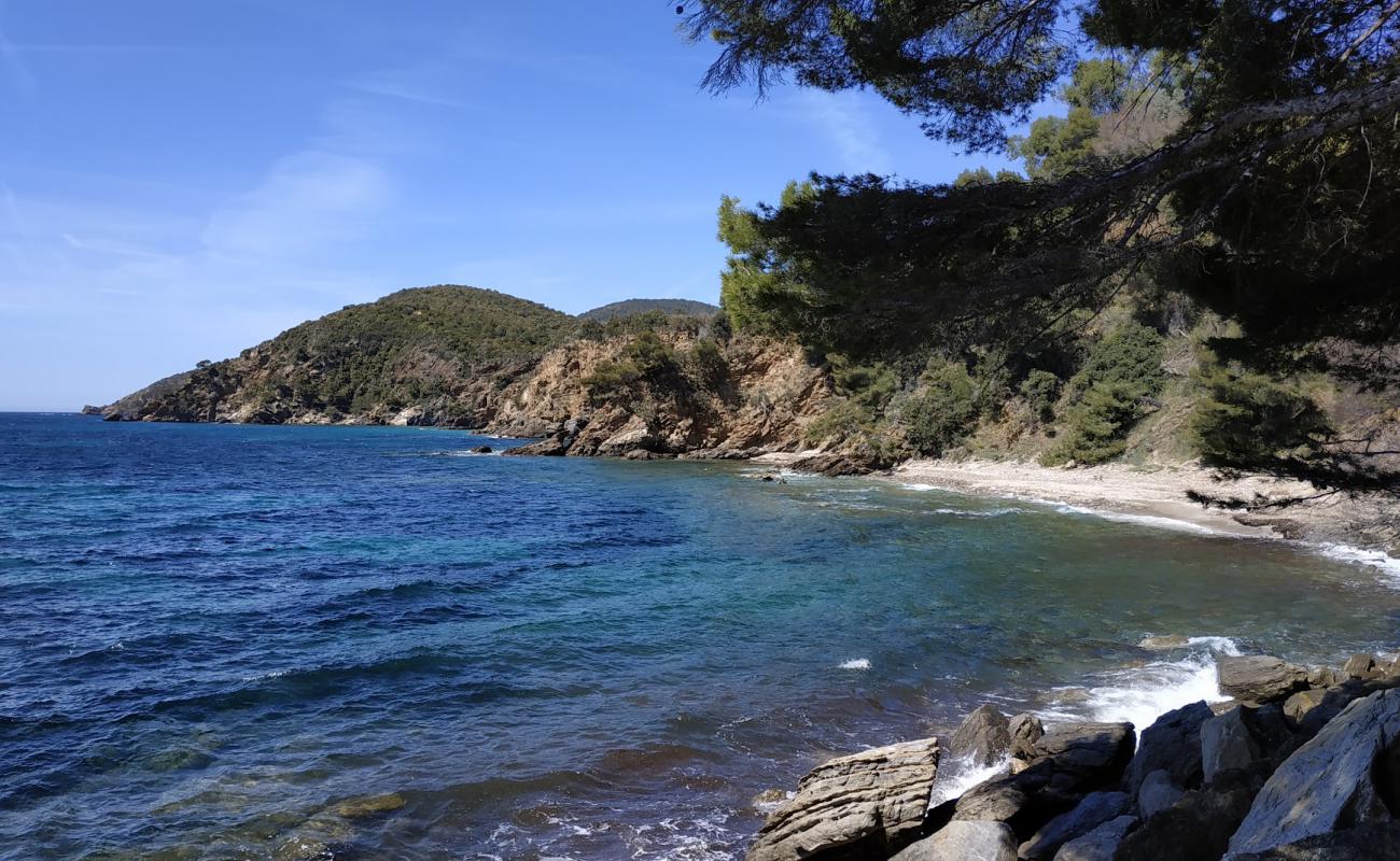 Фото Plage des Amphores с камни поверхностью