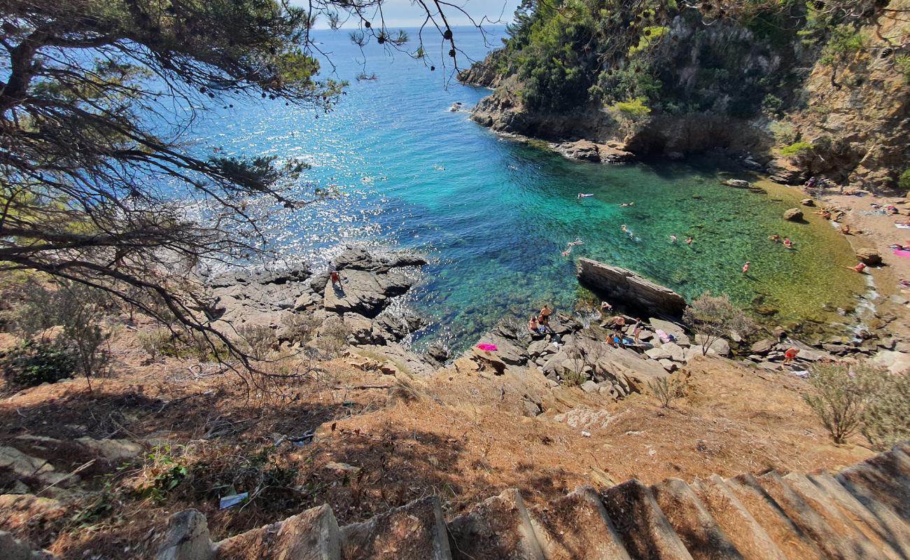 Фото Calanque Plage с камни поверхностью