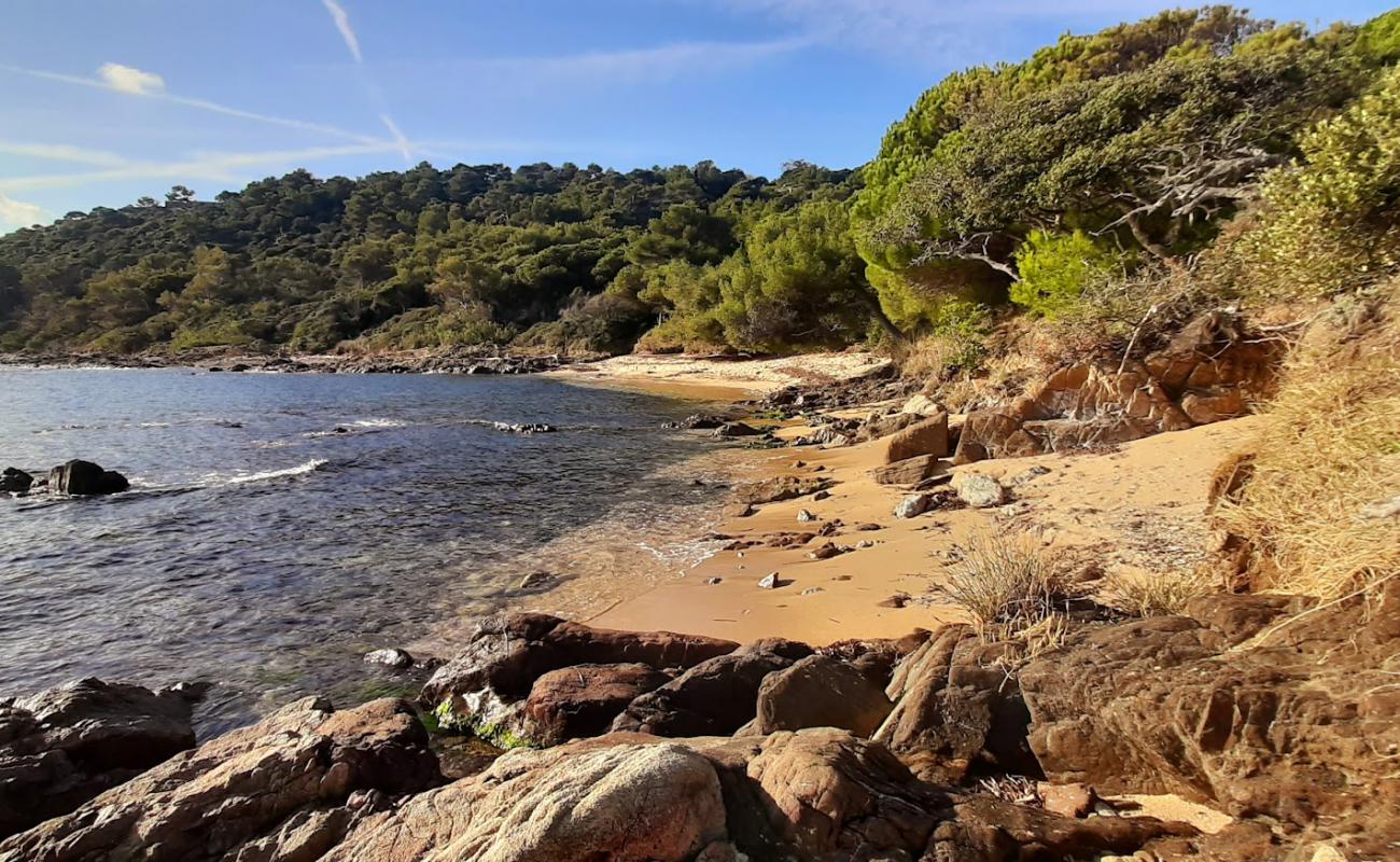 Фото Plage de la Garrigue с светлый песок поверхностью