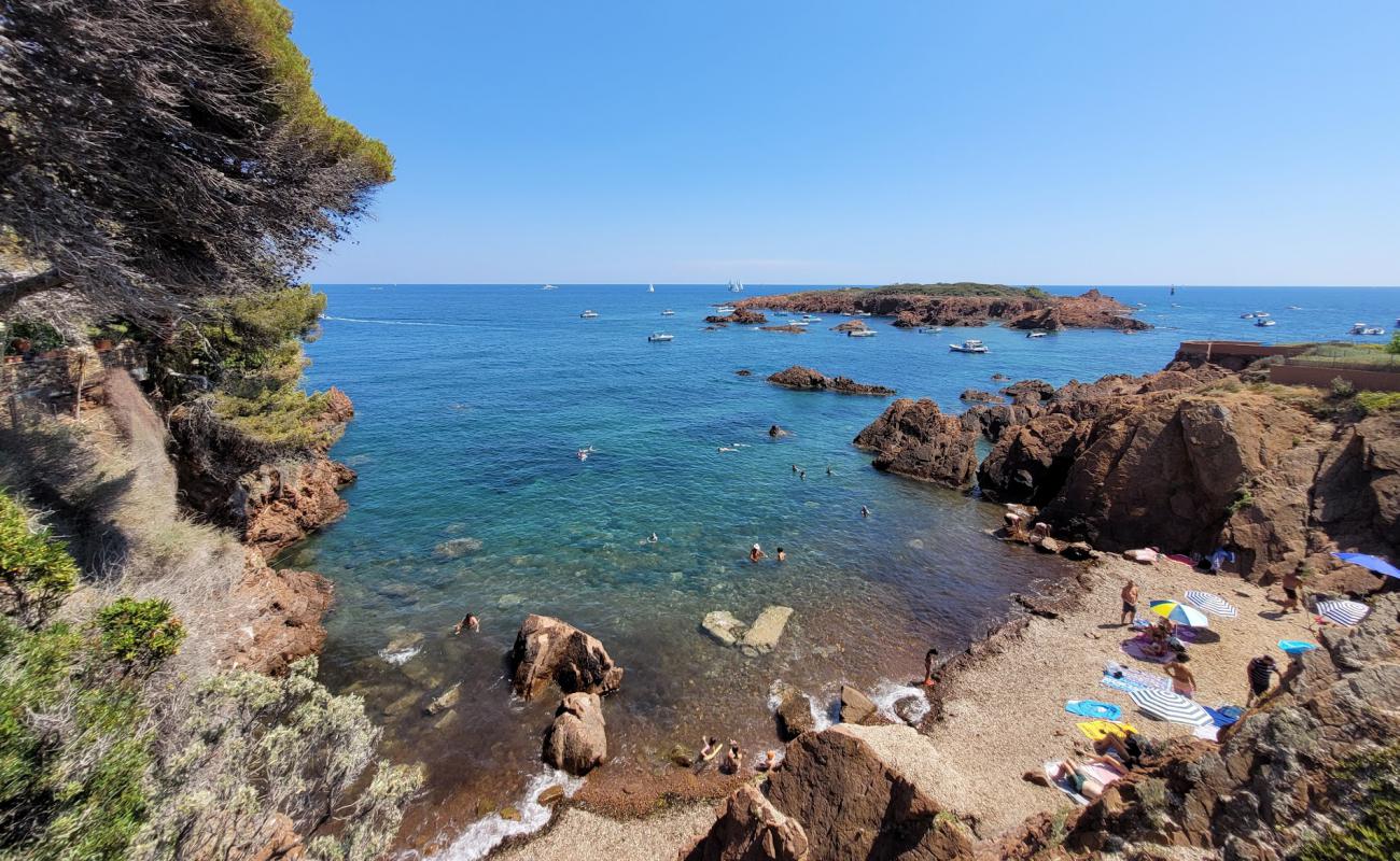 Фото Plage Les Roches de l'ile des Vieilles с камни поверхностью