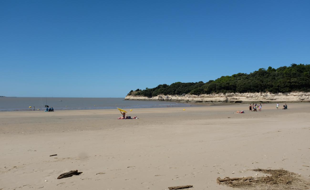 Фото Plage de Suzac с светлый песок поверхностью