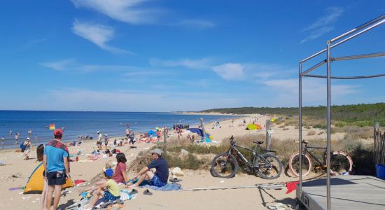 Plage de Vert Bois