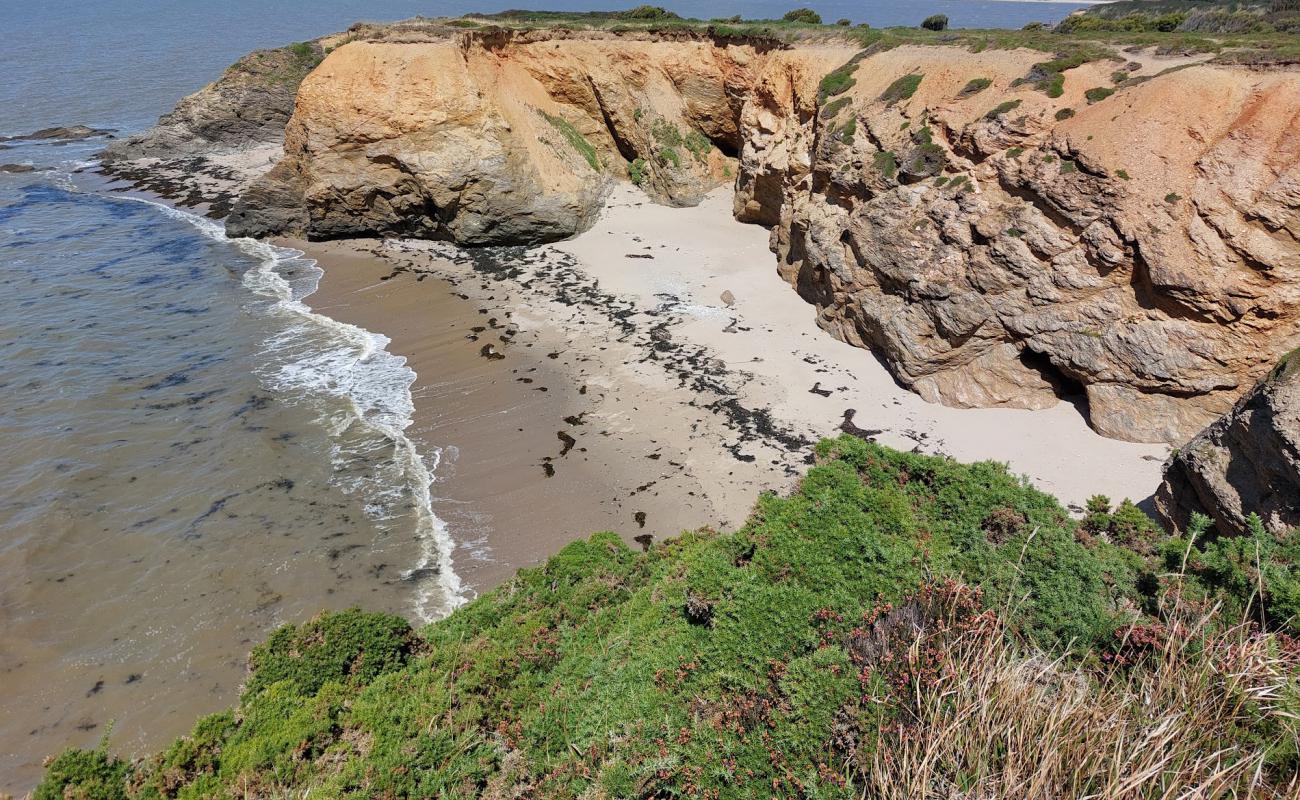 Фото Plage De La Marche Aux Boeufs с светлый песок поверхностью