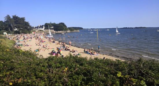 Plage de Mousterian