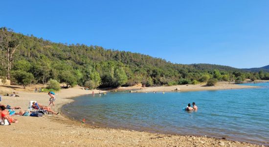 Plage Maison du Lac de Saint-Cassien