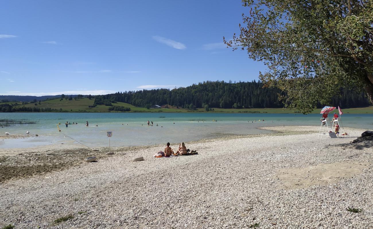 Фото Plage du Lac De Remoray с камни поверхностью