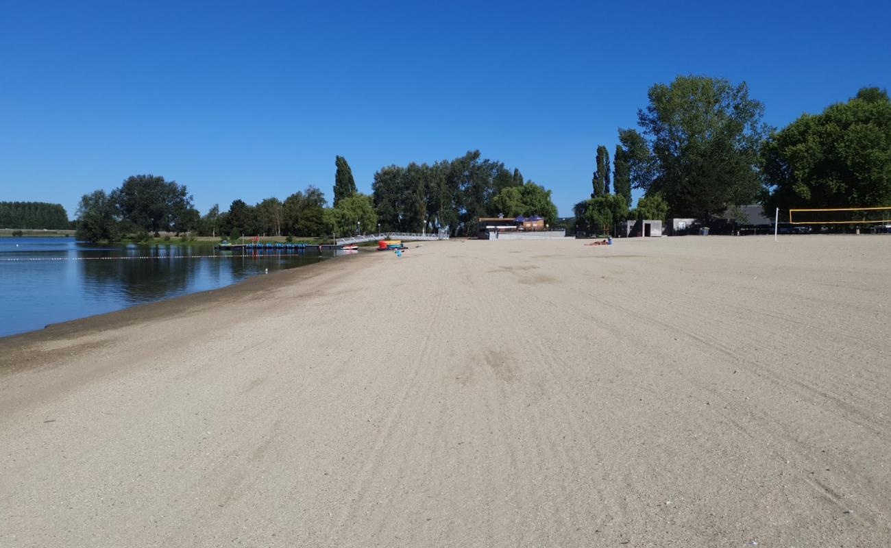 Фото Plage du lac de Pont-l'Eveque с светлый песок поверхностью