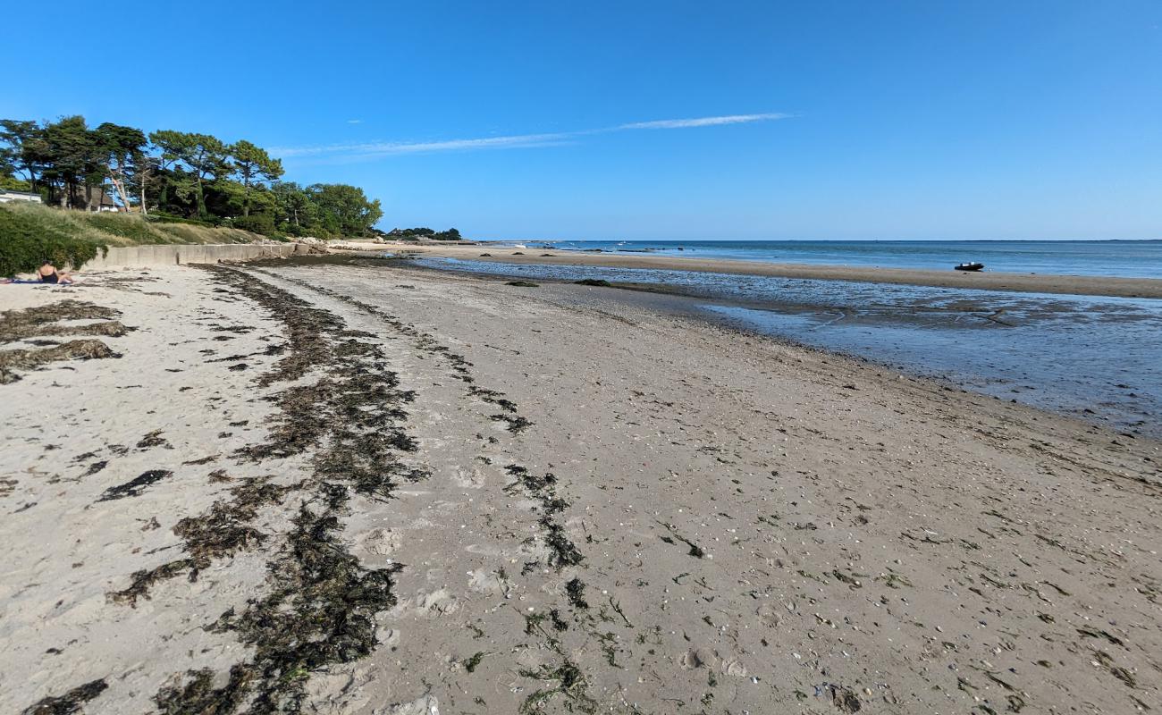 Фото Plage de Jonville с светлый песок поверхностью