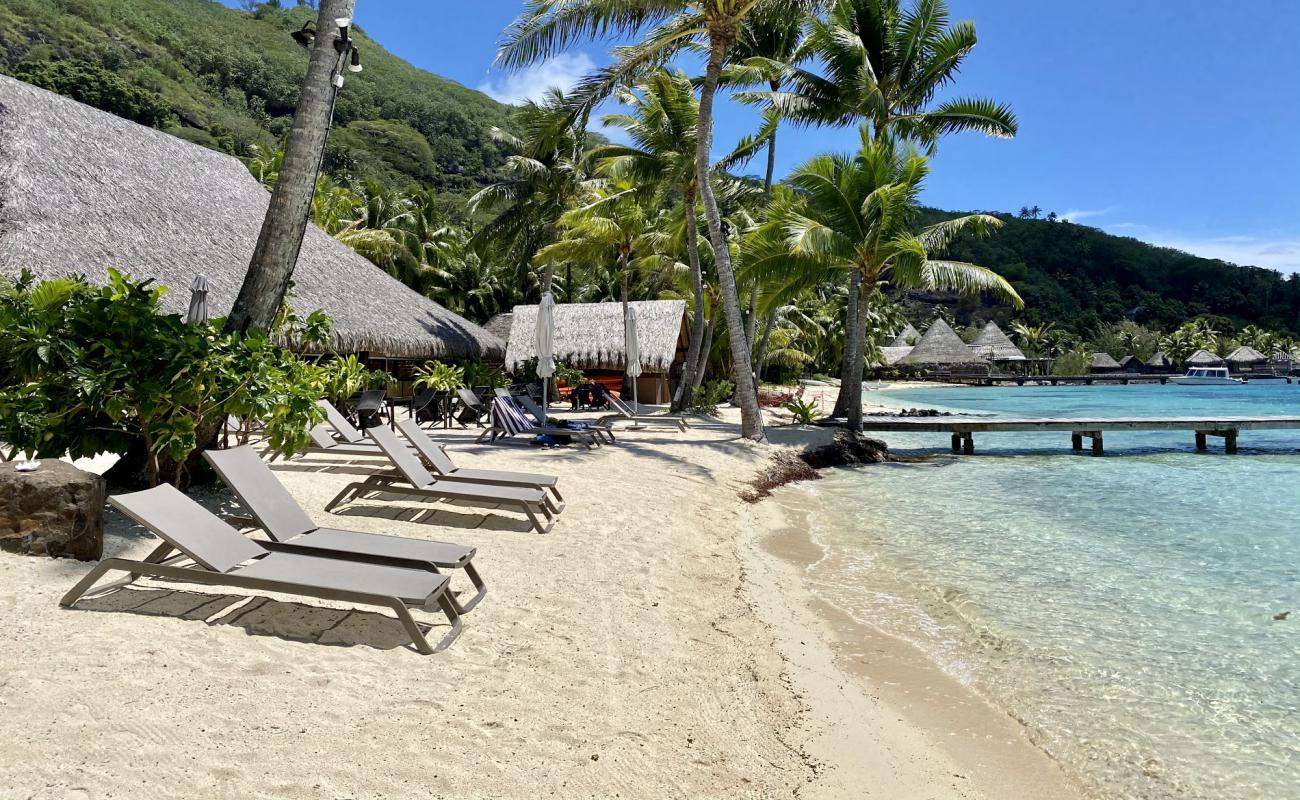 Фото Plage Royale de Bora Bora с светлый песок поверхностью