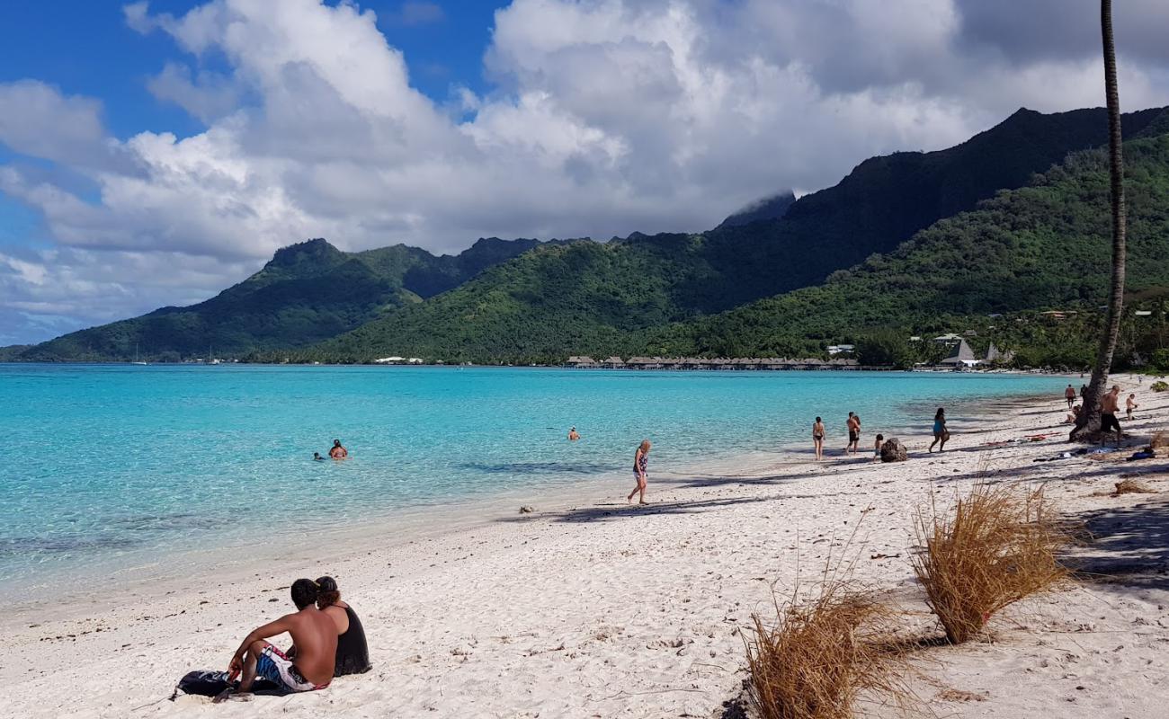 Фото Plage de Temae с белый песок поверхностью