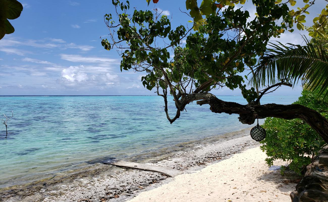 Фото Pineapple Beach с песок с камнями поверхностью