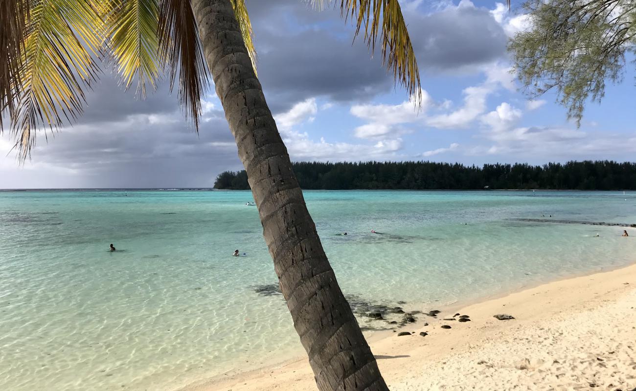 Фото Hauru Beach с песок с камнями поверхностью