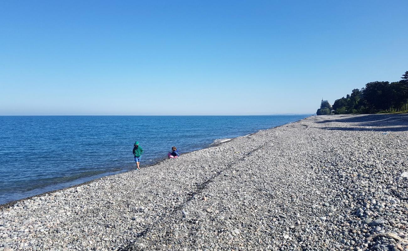 Фото Tsikhisdziri beach с светлая галька поверхностью