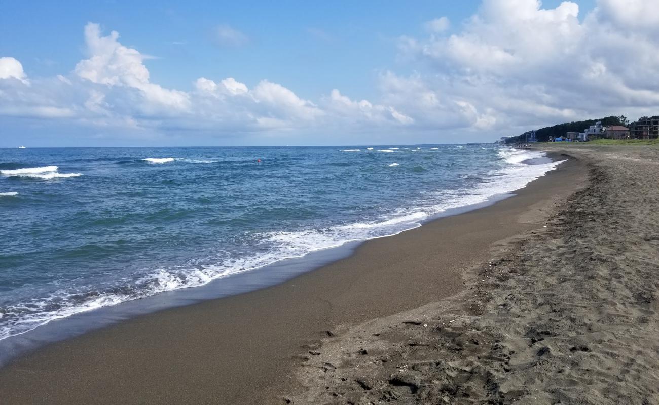 Фото Shekvetili beach с черный песок поверхностью