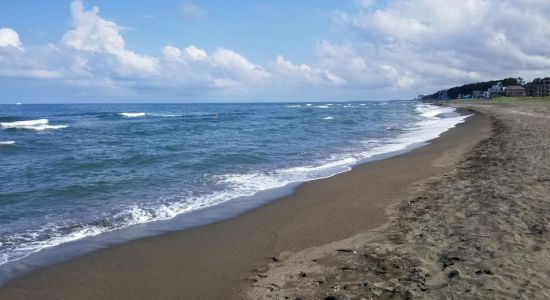 Shekvetili beach