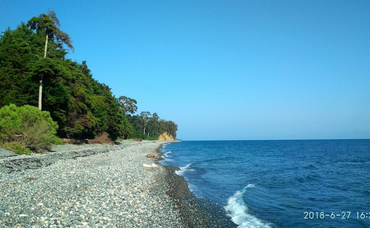 Фото Tskurgili beach с светлая галька поверхностью