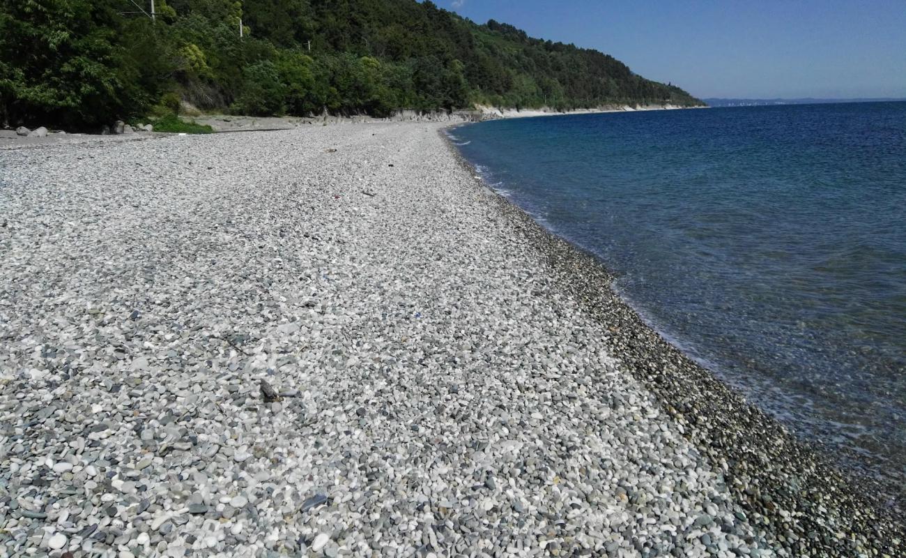 Фото Solnechnyi beach с светлая галька поверхностью