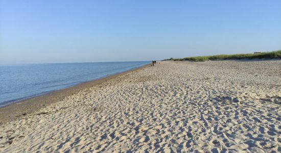 Strand Schillig