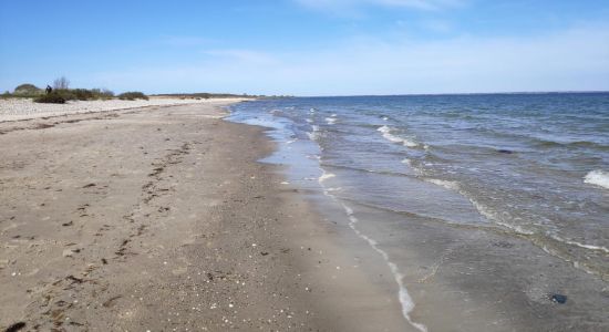 Strand Am Leuchtturm