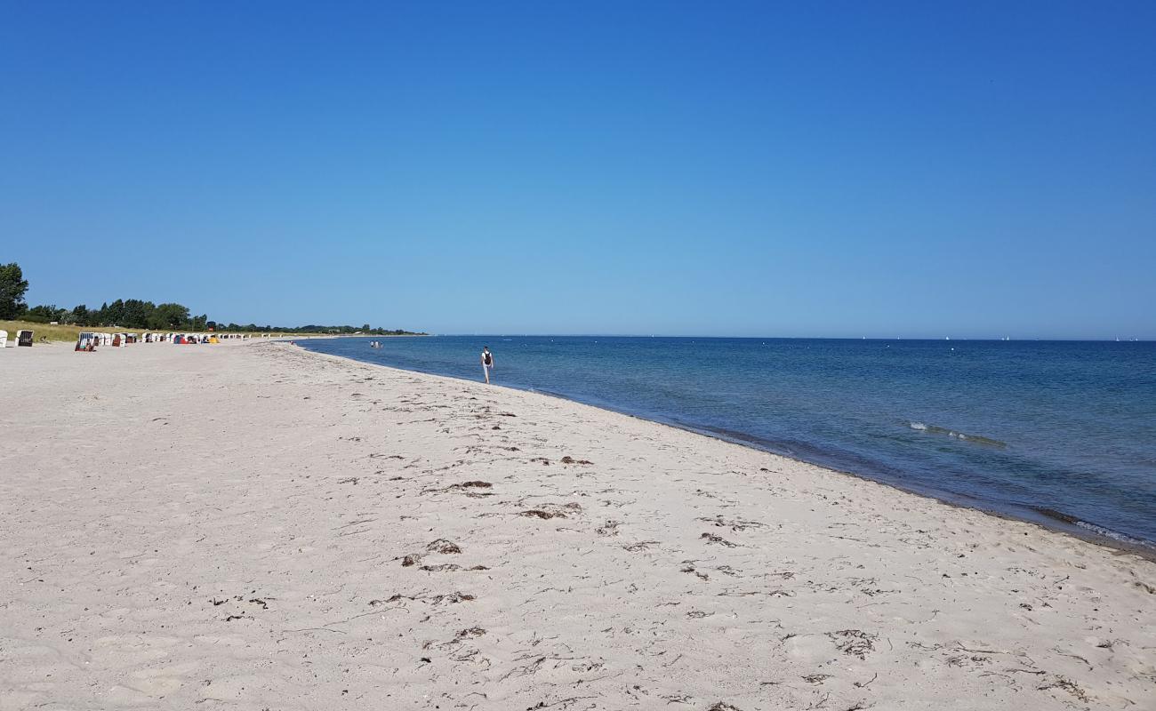 Фото Kronsgaard Strand с светлый песок поверхностью