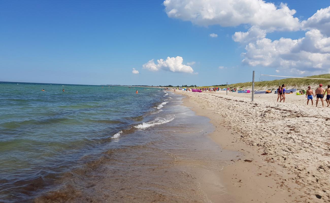 Фото Dierhagen Strand с светлый песок поверхностью