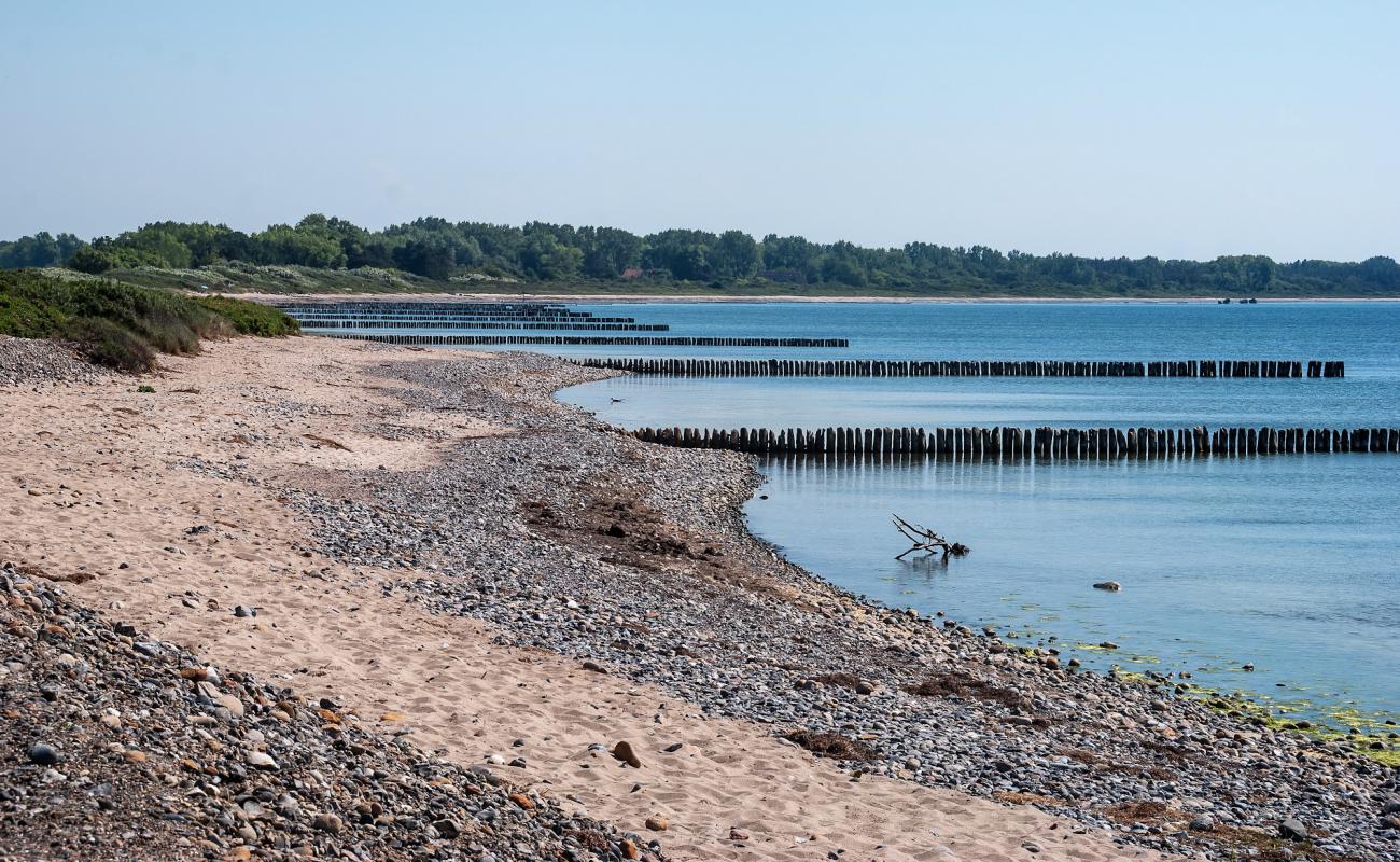 Фото Dranske strand с песок с камнями поверхностью