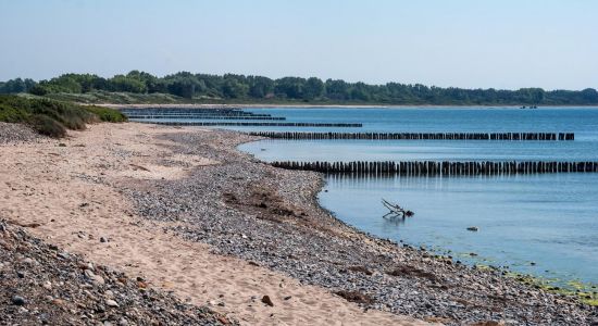 Dranske strand