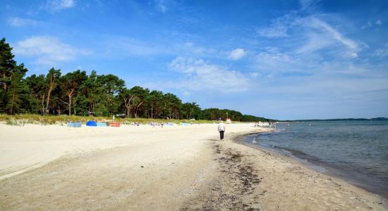 Prora Beach