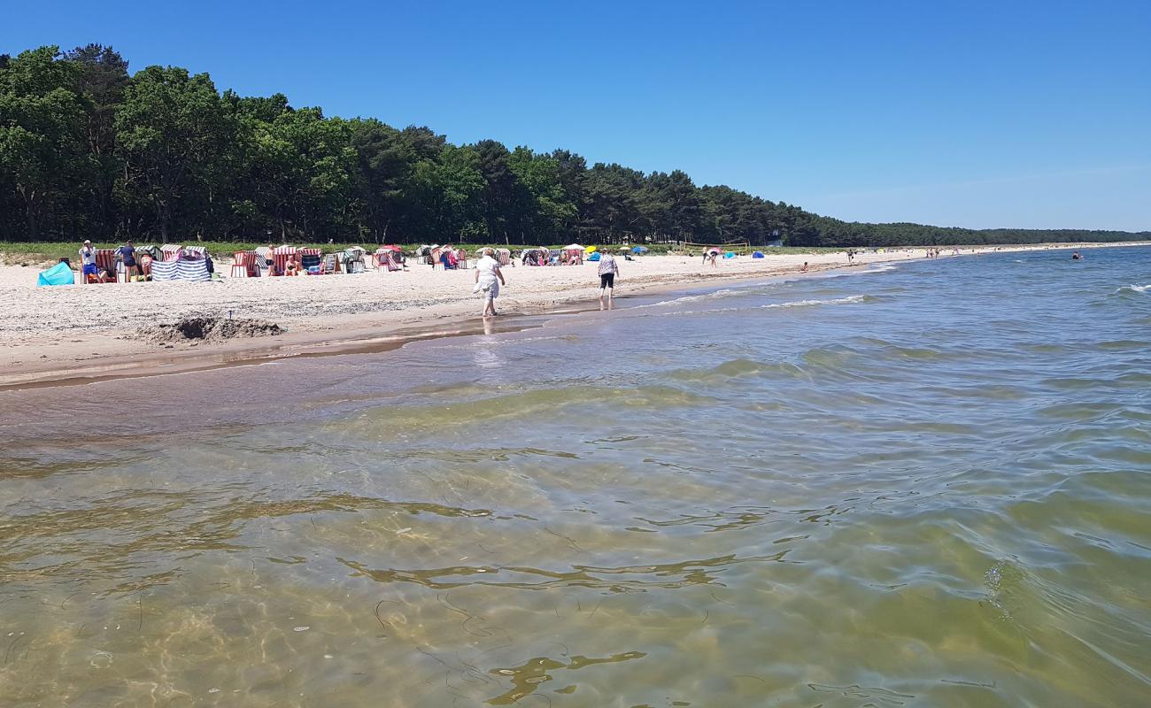 Фото Strandkorbvermietung с светлый песок поверхностью