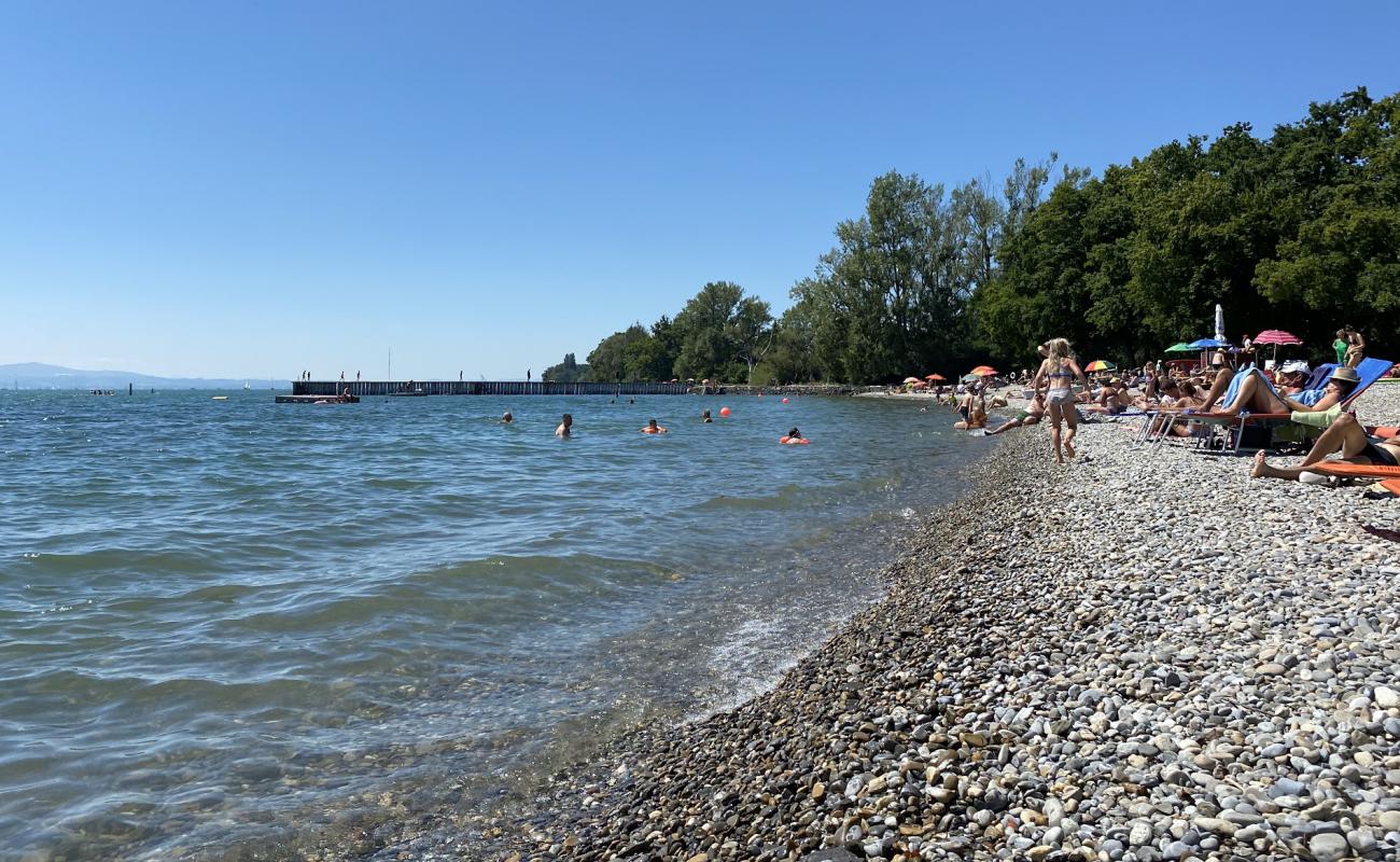 Фото Naturstrandbad Kressbronn am Bodensee с серая галька поверхностью