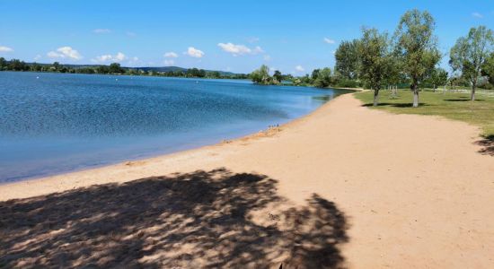 Seeufer Muhr am See