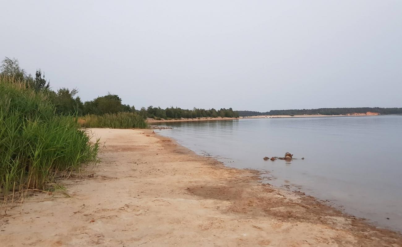 Фото Hundestrand Barwalder See с светлый песок поверхностью