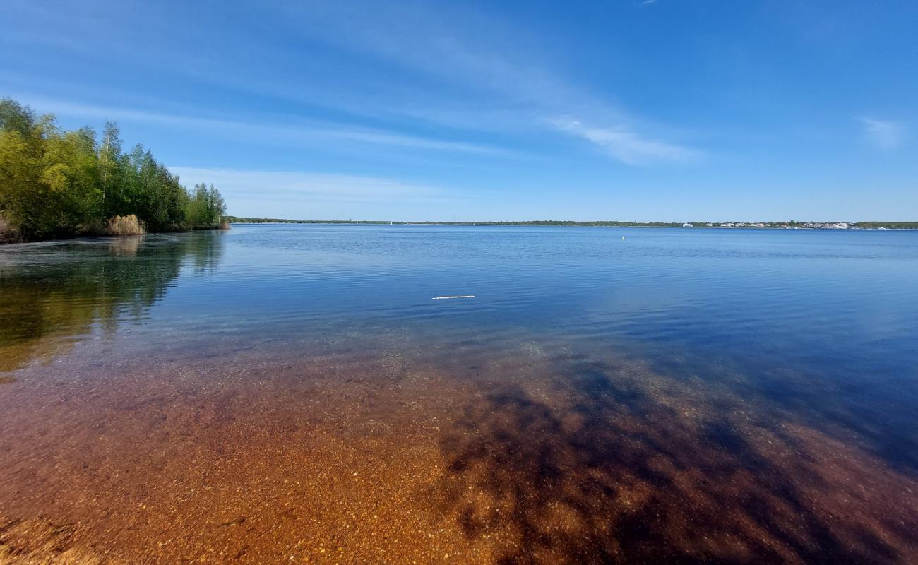 Фото Weststrand FKK с трава поверхностью